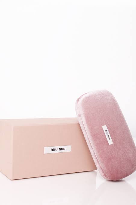 Miu Miu Case